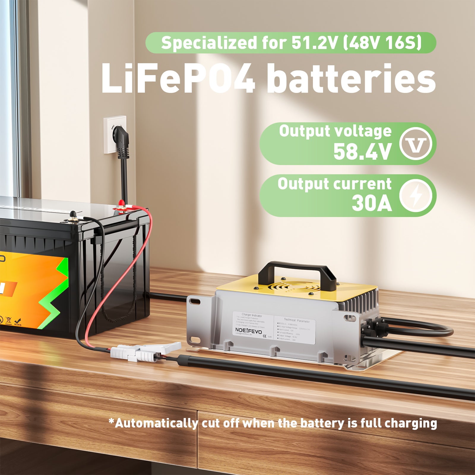 NOEIFEVO 58.4V 30A LiFePO4 Akku Ladegerät für 51.2V(48V) 16S LiFePO4 Batterie, wasserdicht, 0V BMS Aktiviert