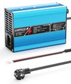 NOEIFEVO 25.2V 2A 3A 4A 5A Cargador de litio para baterías de 6S 22.2V Li-Ion Lipo, ventilador de enfriamiento, apagado automático (AZUL)