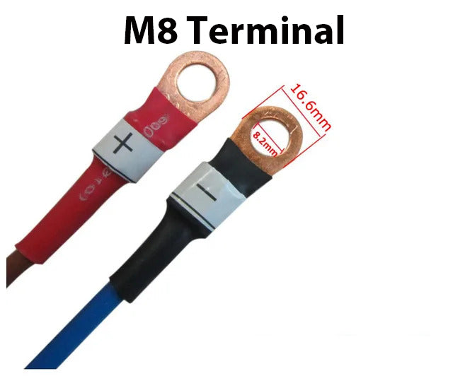 3.65V 20A snabbladdare för 1S 3.2V 3.3V Lifepo4 batteri med fläktar